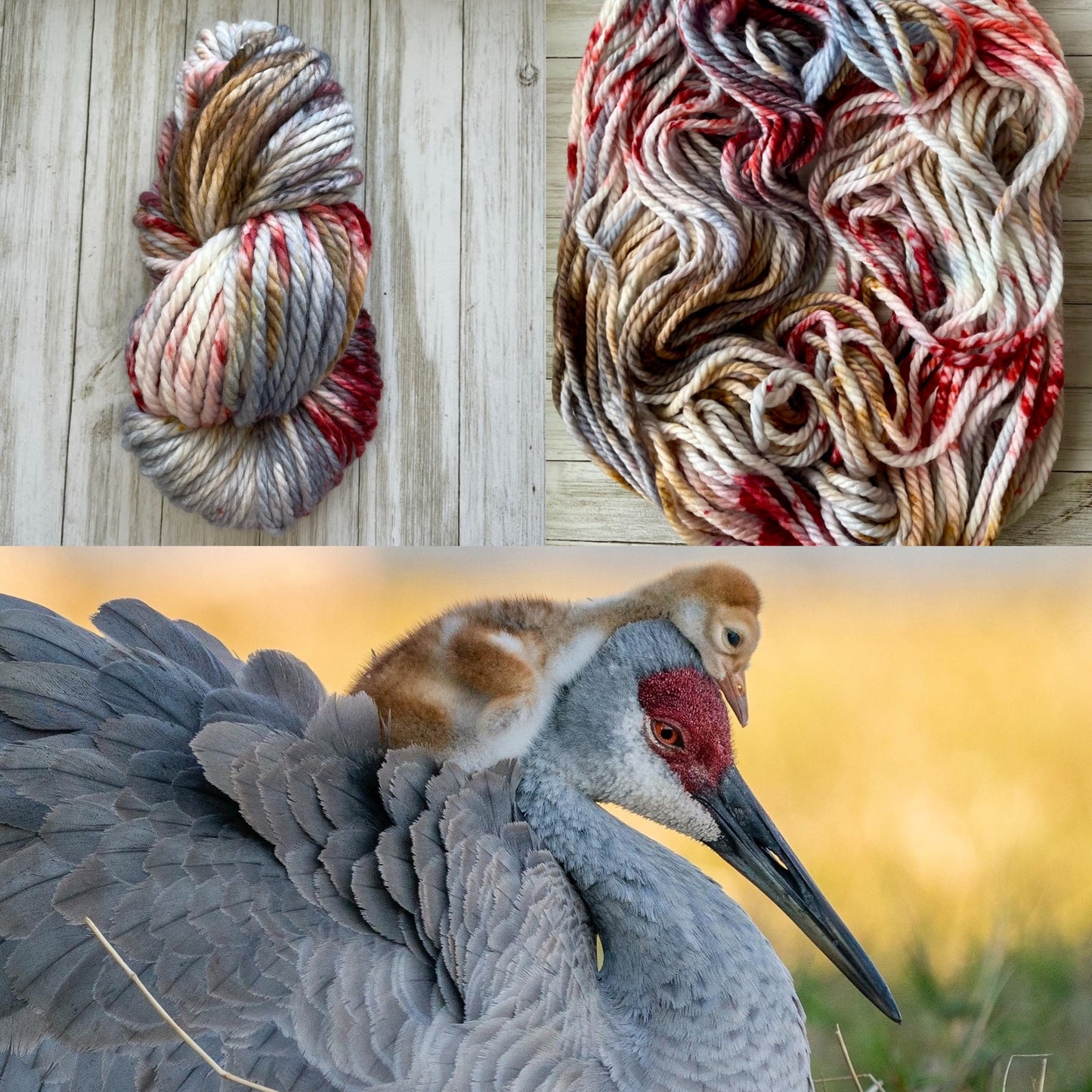 Sandhill Crane- Dyed to Order - Wyoknitts Hand Dyed Yarns