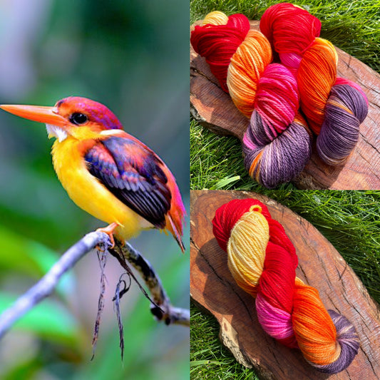 Rufous-Backed Kingfisher - Dyed to Order - Wyoknitts Hand Dyed Yarns